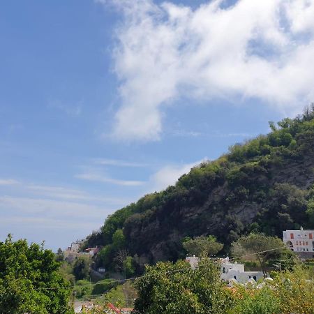 Sweet Home La Chicca Ischia Dış mekan fotoğraf