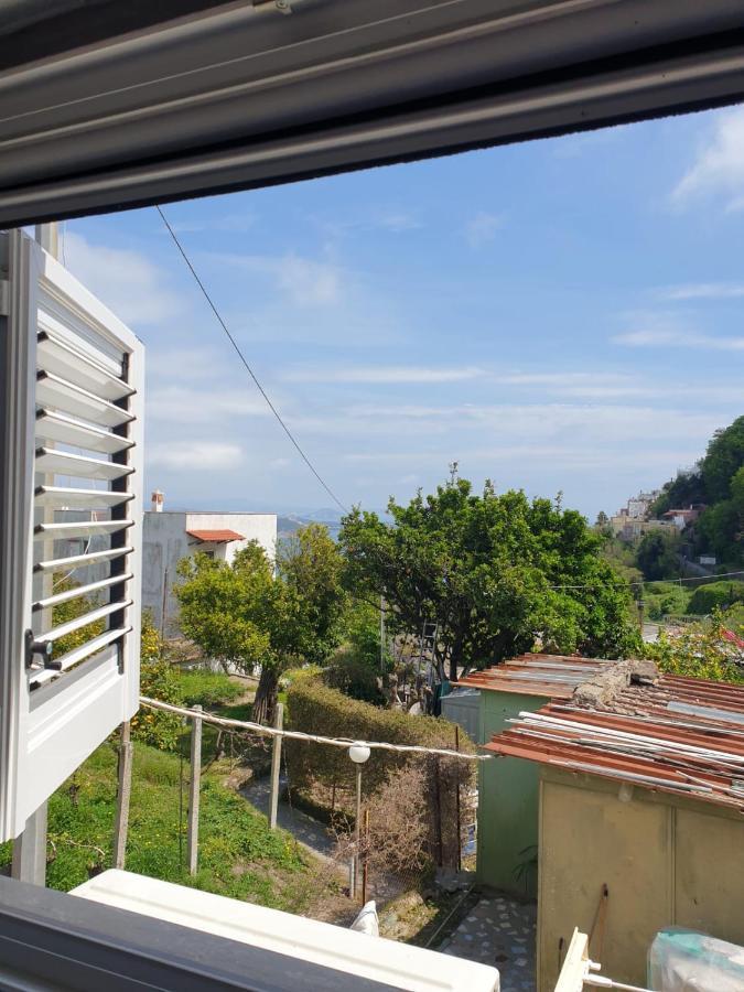 Sweet Home La Chicca Ischia Dış mekan fotoğraf