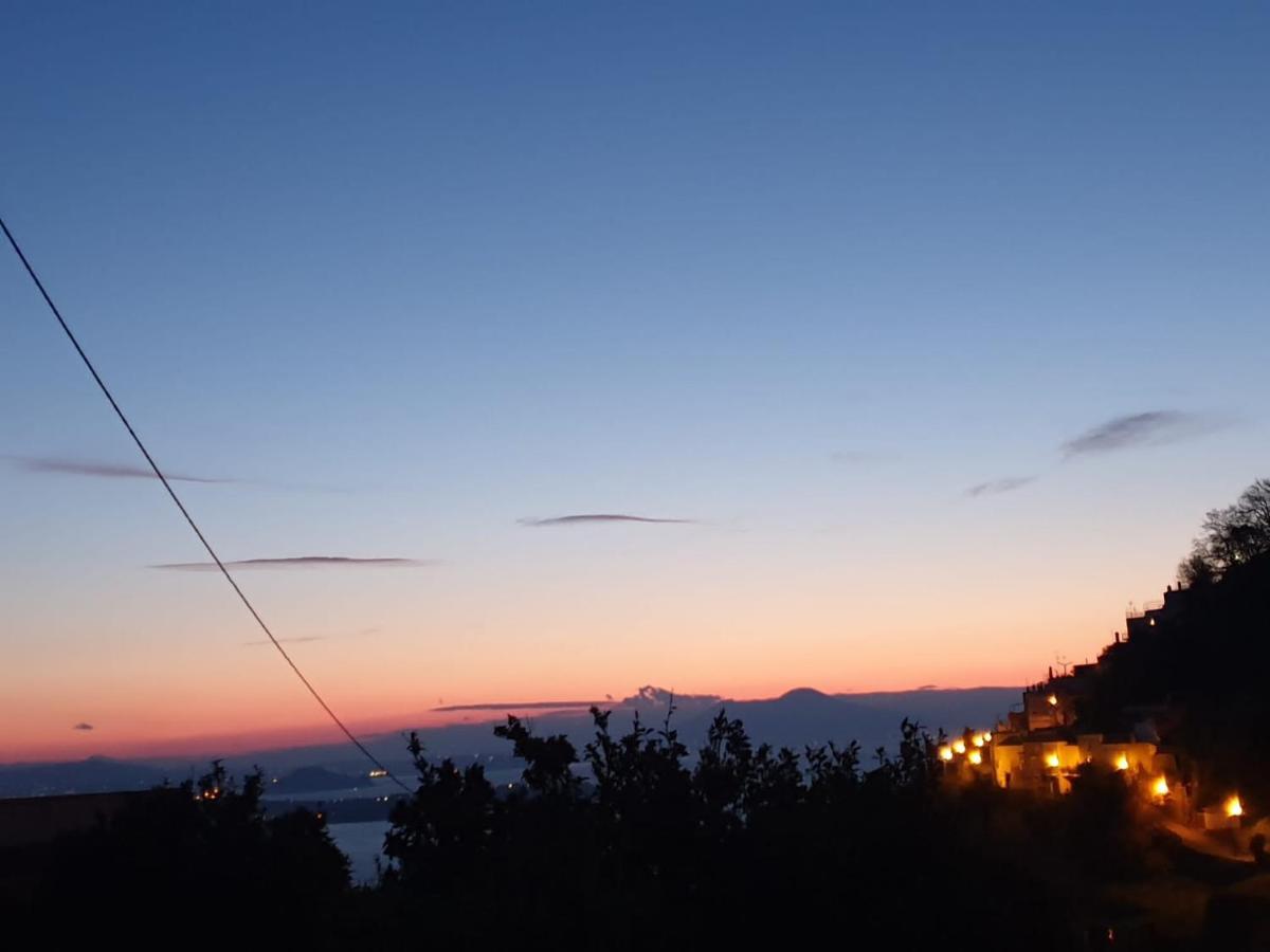 Sweet Home La Chicca Ischia Dış mekan fotoğraf