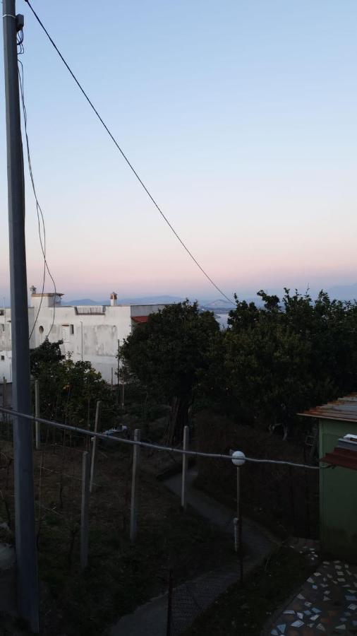 Sweet Home La Chicca Ischia Dış mekan fotoğraf