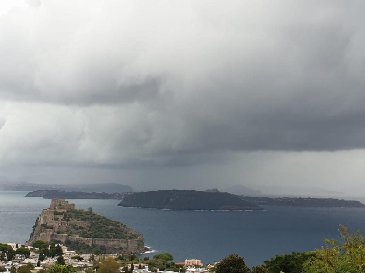 Sweet Home La Chicca Ischia Dış mekan fotoğraf
